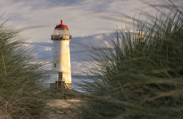 Flintshire Ambassador banner