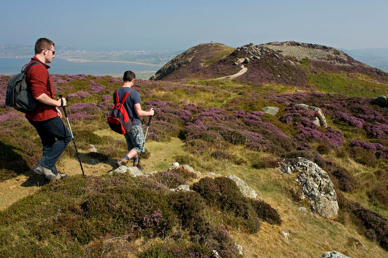 Conwy Mountain