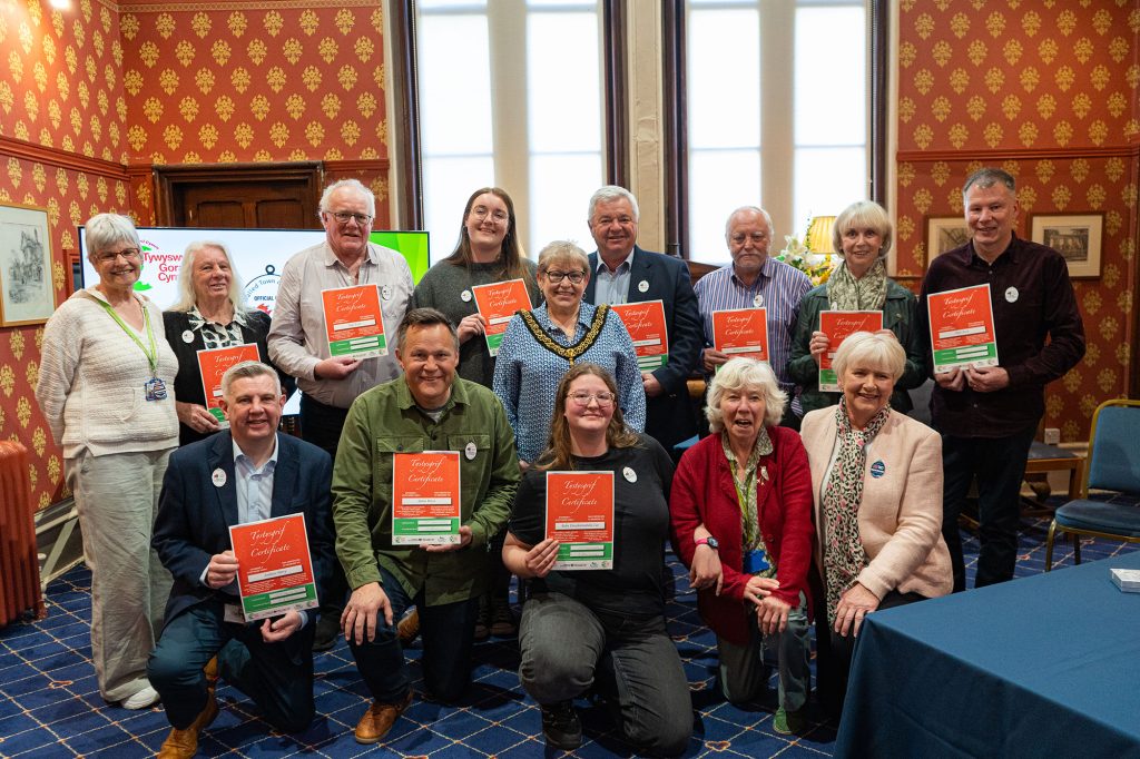 Llandudno White Guides